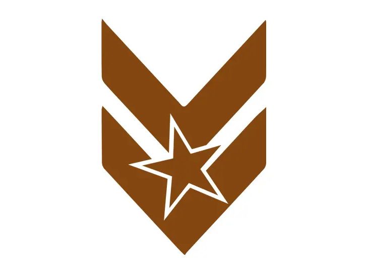 Skrag Brown Warhammer colour