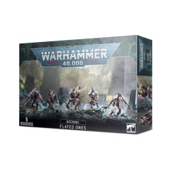 Caja de la escuadra Desolladores Necrones de Warhammer