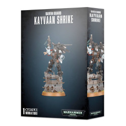 Caja KAYVAAN SHRIKE