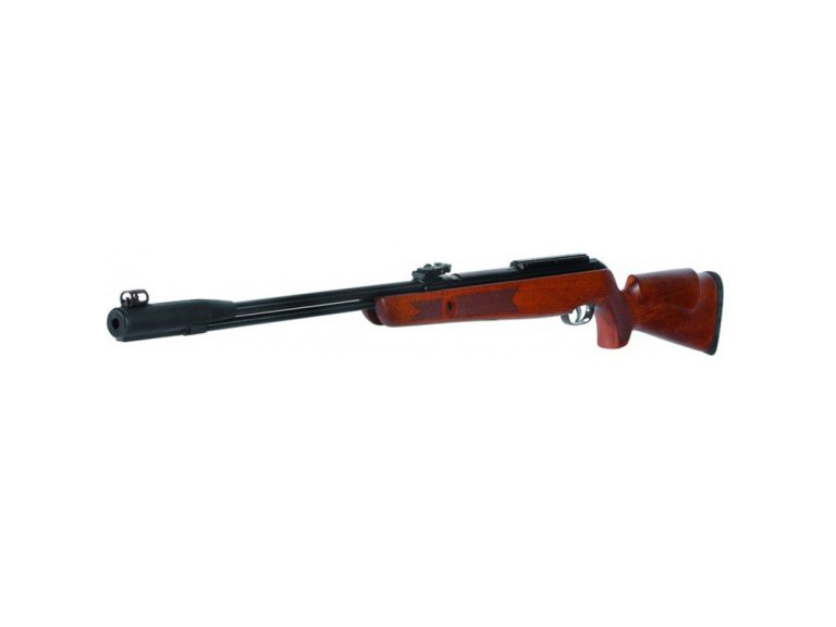 Carabina Gamo CFX Royal 5.5 mm desde ángulo frontal