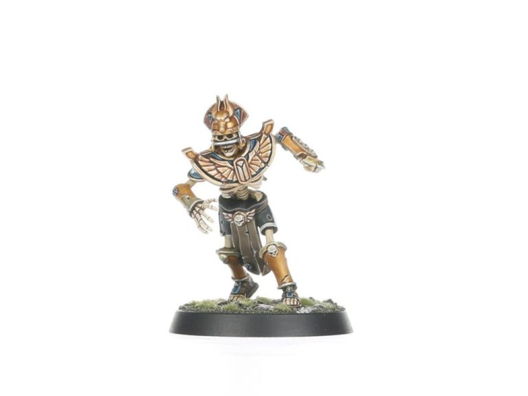 Jugador Tomb Guardian del kit montado y pintado