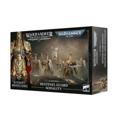 Caja de Guardias Centinela
