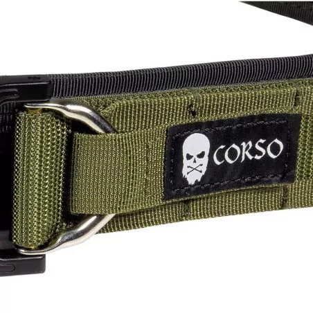 CEÑIDOR CORSO HOOK MOLLE MK2 VERDE 🔝 · VSGun