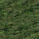 Camuflaje boscoso español