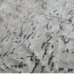 Camuflaje árido español