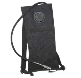 Camelback