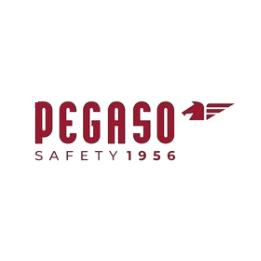 Pegaso