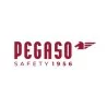 Pegaso